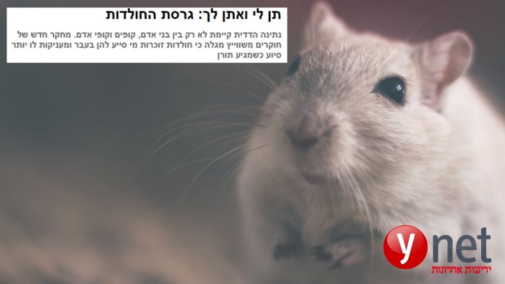 סחר הדדי בין בעלי חיים