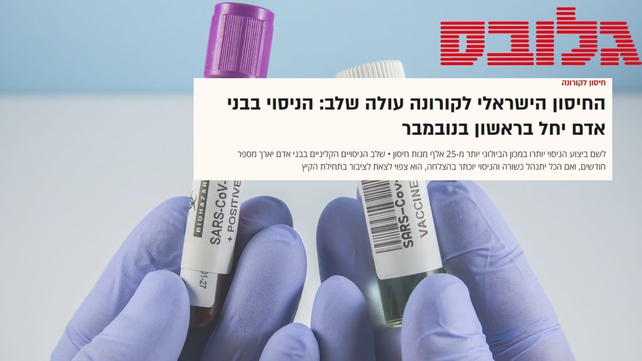 חזירים השתתפו בהכנות לניסוי למציאת חיסון לקורונה