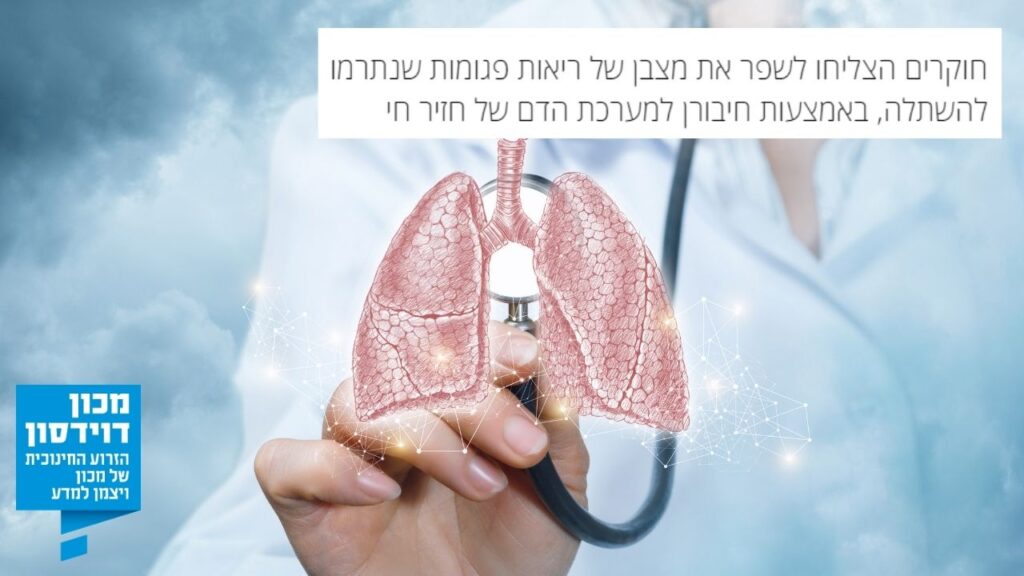 מכון דוידסון | תיקון ריאות להשתלה באמצעות חזירים | קיבוץ להב