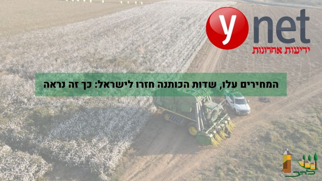 קיבוץ להב -שדות כותנה