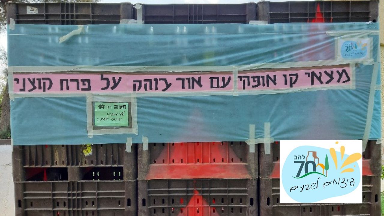 קיבוץ להב - פיצוחים לשבעים