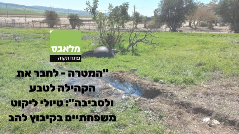 קיבוץ להב - מלאבס פתח תקווה